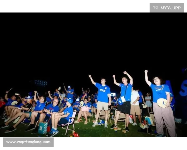 中超主场球迷狂欢盛宴各大球队氛围揭秘全景体验 中超主场球迷狂欢盛宴各大球队氛围揭秘全景体验