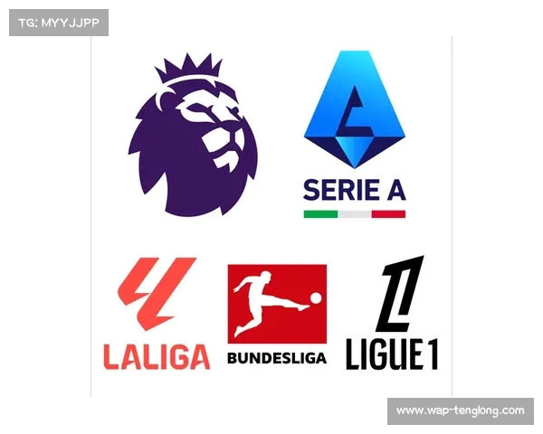 五大联赛精彩海报合集与logo大全 一览足球盛宴的璀璨风采 五大联赛精彩海报合集与logo大全 一览足球盛宴的璀璨风采